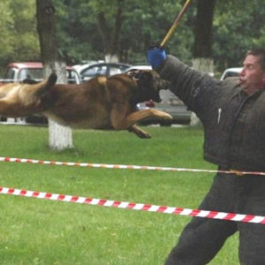 tex_de_la_piece_de_lassaut