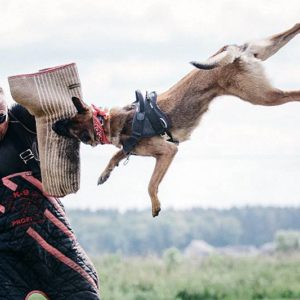 Общая информация Общая информация