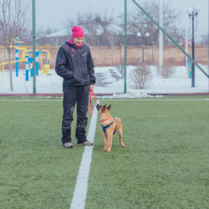 2018_03_11 - base1 (98) 2018_03_11 - base1 (98)