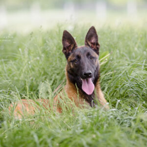 2020_05_21-web (25)
