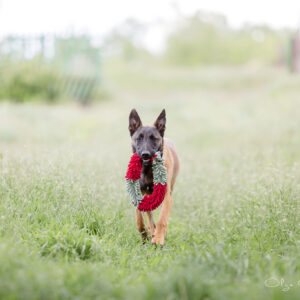 2020_05_21-web (27)