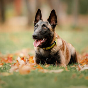 2020_11_11 - ovphoto_web (22)