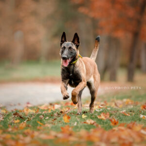 2020_11_11 - ovphoto_web (24)