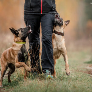 2020_11_11 - ovphoto_web (8)